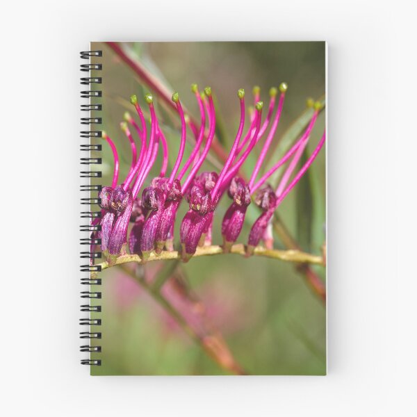 Item preview, Autumn Pink Grevillea  designed and sold by Joy Watson - Natural Light Photography .