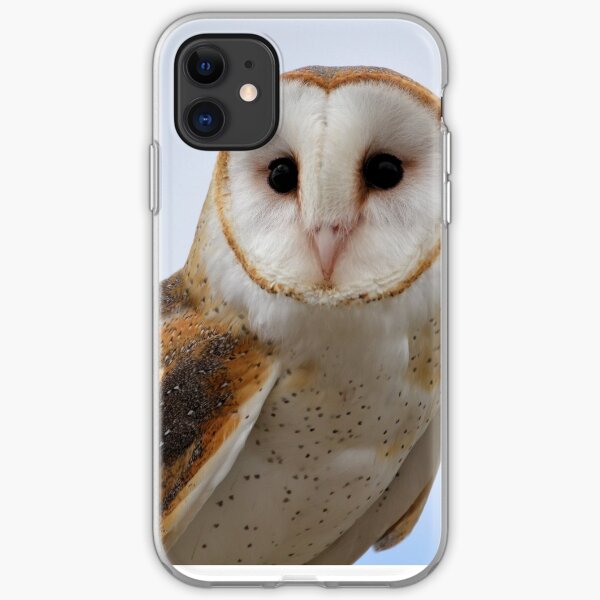 Barn Owl iPhone Soft Case
