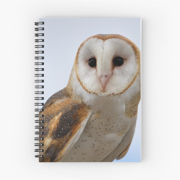 Item preview, Barn Owl designed and sold by Kathleen Brant.