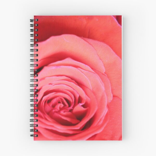 Artikelvorschau, Kopie von Micro Rose entworfen und verkauft von albertomphoto.