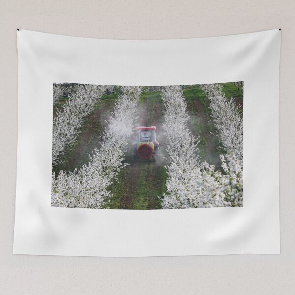 Item preview, tractor sprays insecticide in cherry orchard agriculture designed and sold by goceris.