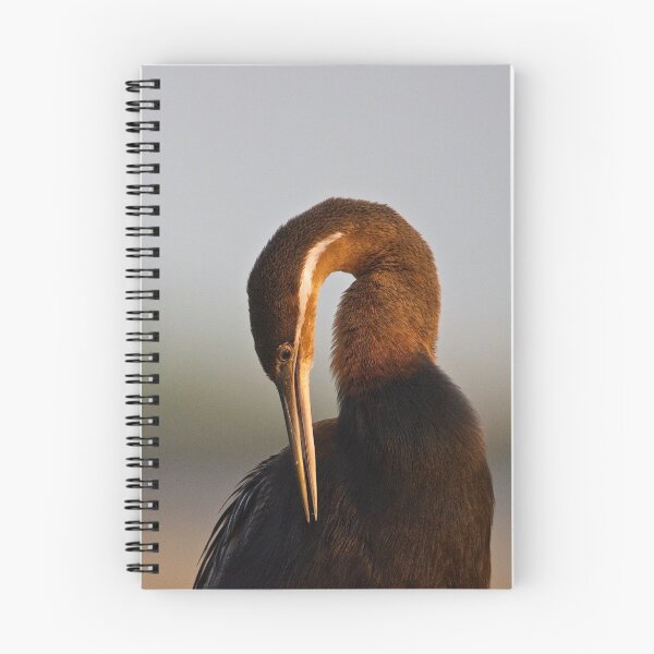 Item preview, African Darter designed and sold by Jensphotos.