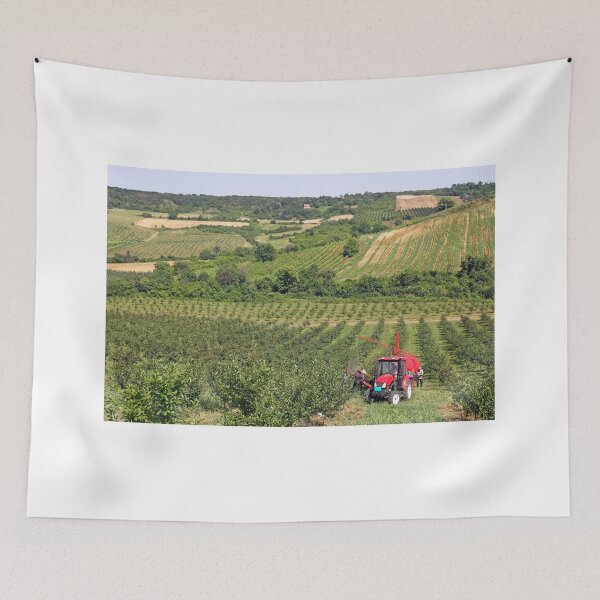 Item preview, Cherry orchard farmers with tractor and harvesting machine summer season designed and sold by goceris.