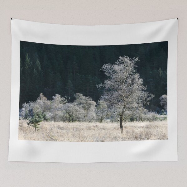 Item preview, Frost cover tree's (Glen Goil) designed and sold by bitm2007.
