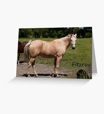 Fitzroy - NNEP Ottawa, On Greeting Card