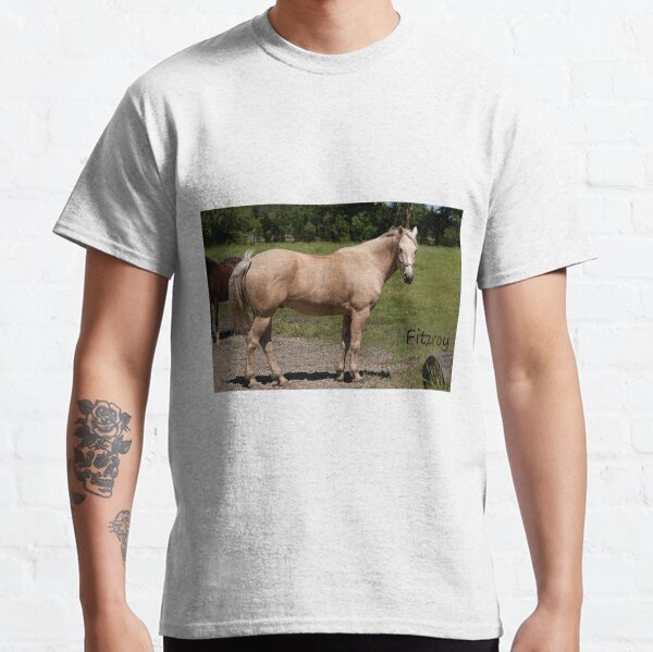 Fitzroy - NNEP Ottawa, On Classic T-Shirt