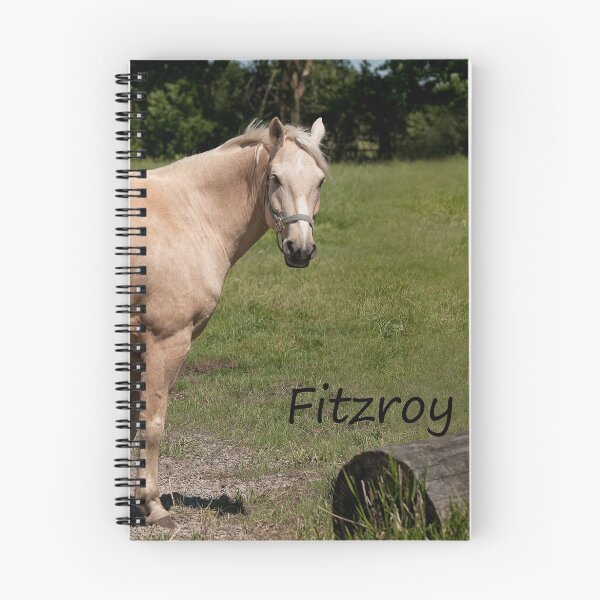 Item preview, Fitzroy - NNEP Ottawa, On designed and sold by Tracey  Dryka.