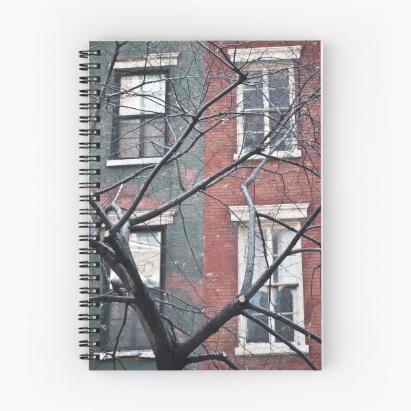 Aperçu de l'œuvre house facade créée et vendue par paolo amiotti.