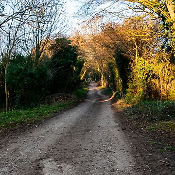 Artwork thumbnail, The Ridgeway by Jim Hellier