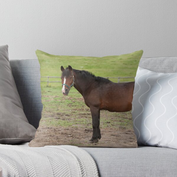 Item preview, Kahlua - NNEP Ottawa, ON designed and sold by Tracey  Dryka.