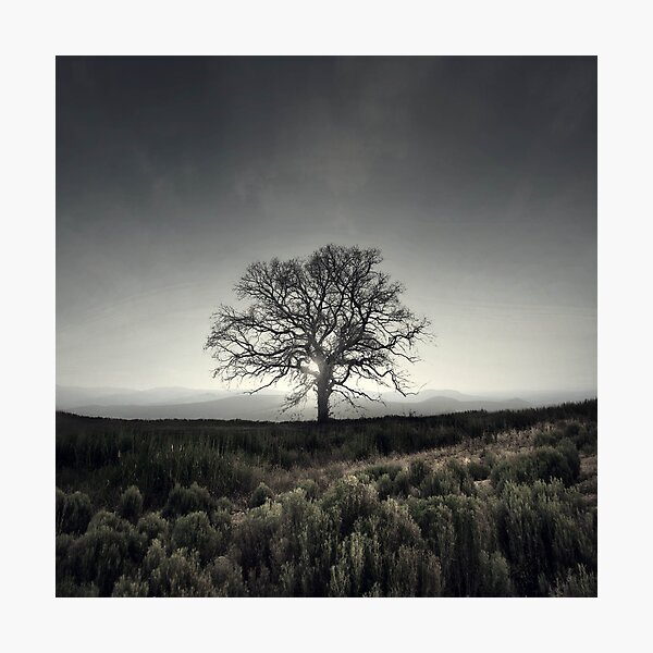 Prevailing Prophecy Photographic Print