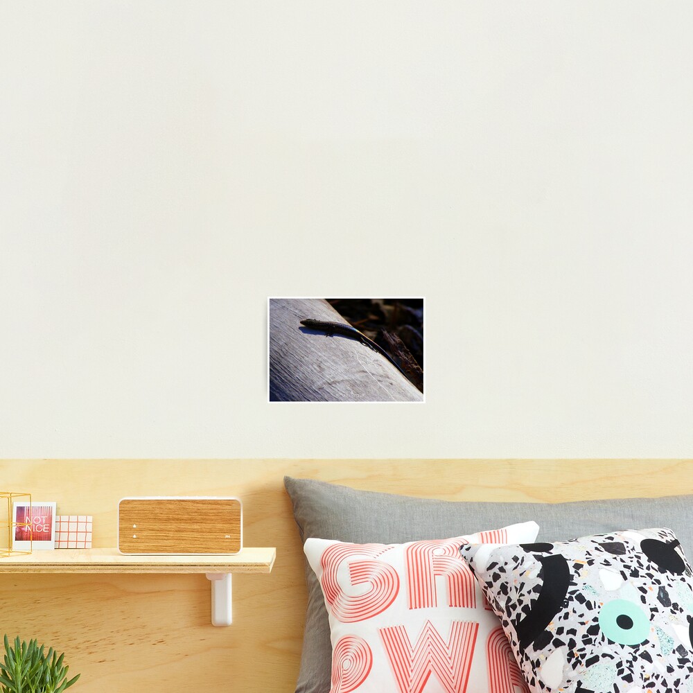 Item preview, Photographic Print designed and sold by Gozza.