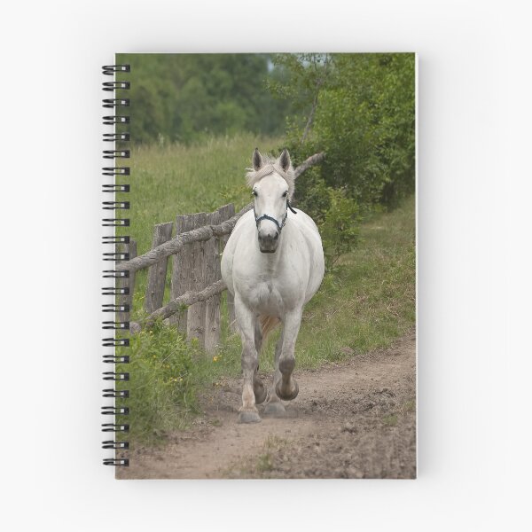Item preview, Mercedes - NNEP Ottawa, ON designed and sold by Tracey  Dryka.