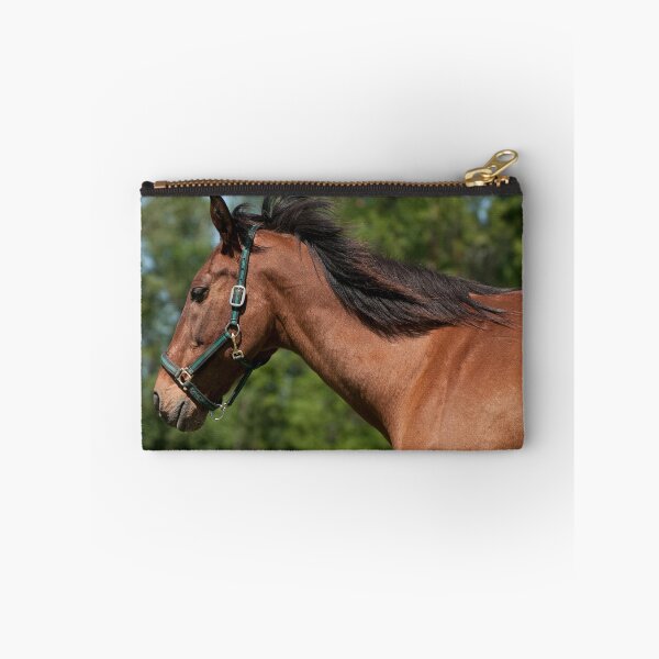 Item preview, Cleveland - NNEP Ottawa, ON designed and sold by Tracey  Dryka.