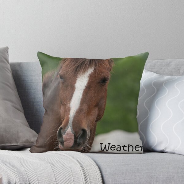 Item preview, Weather (tee) - NNEP Ottawa, ON designed and sold by Tracey Dryka.