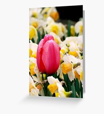 Proudly Pink Greeting Card