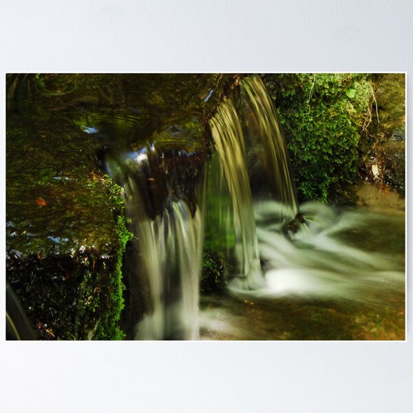 Item preview, Yosemite Fern Spring designed and sold by ShootinMickey.