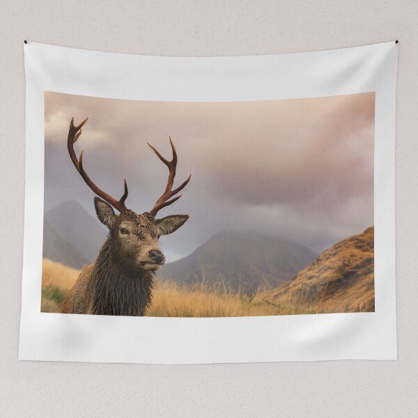 Item preview, Glen Etive Stag designed and sold by bitm2007.