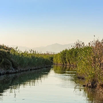 Artwork thumbnail, Reeds, Rivers and Distant Mountains by Ralph Goldsmith