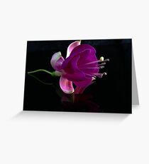 Fuchsia Greeting Card