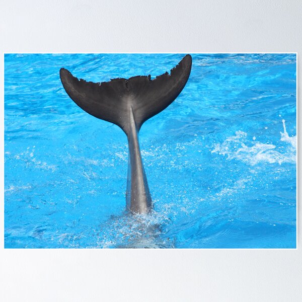 Item preview, Dolphin Wave designed and sold by Sazzyshortness.