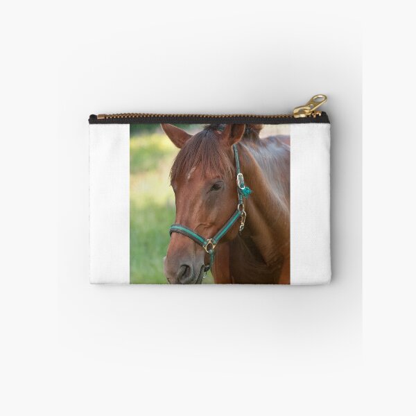 Item preview, Harry - NNEP Ottawa, ON designed and sold by Tracey  Dryka.