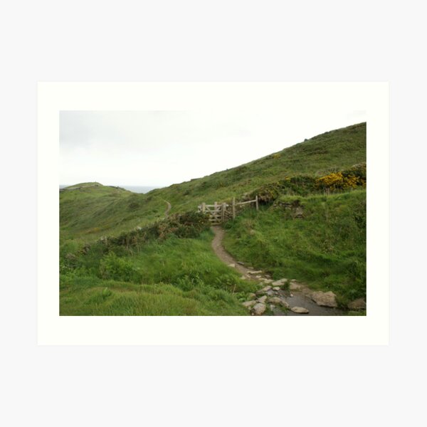 Barras Nose, Tintagel, Cornwall Art Print
