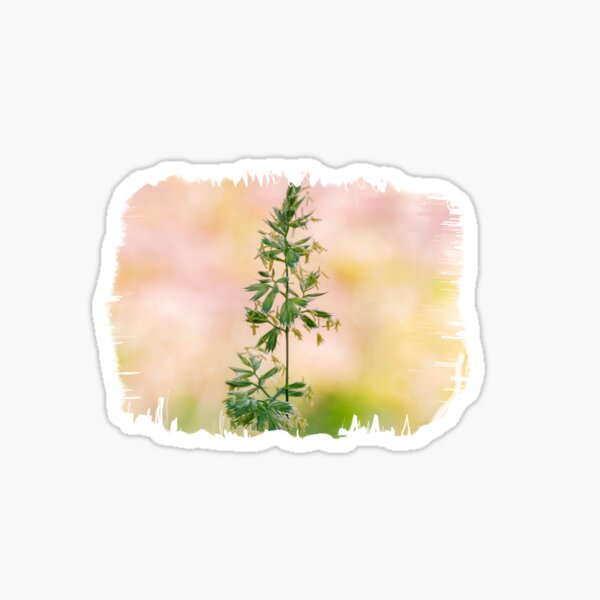 Natur Sticker