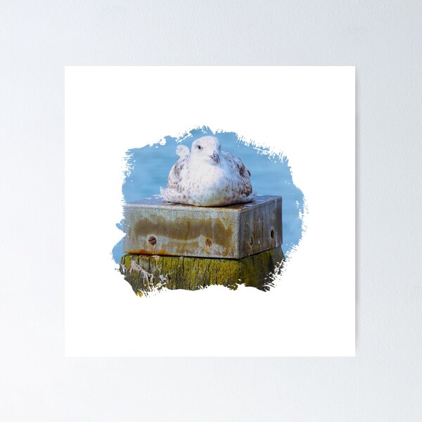 Item preview, Seagull at the Baltic Sea designed and sold by paul-zenek.