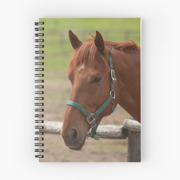 Item preview, Nelson -NNEP Ottawa, ON designed and sold by Tracey  Dryka.