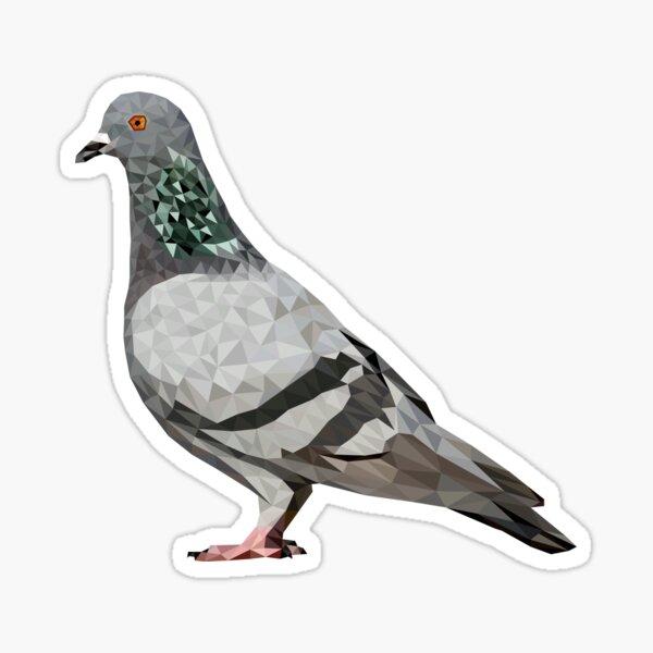 Item preview, Pigeon - Low Poly designed and sold by vcook10.