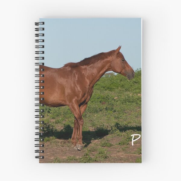 Item preview, Presley - NNEP Ottawa, ON designed and sold by Tracey  Dryka.
