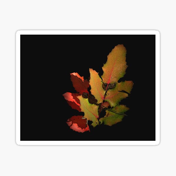 Item preview, Leaves designed and sold by CarolM.