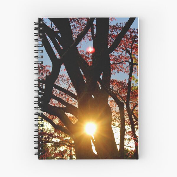 Item preview, Sunset in the Tree designed and sold by Gilda Axelrod.