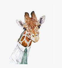 Giraffe Fotodruck