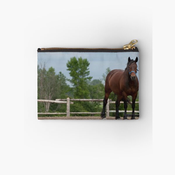 Item preview, Pam  -  NNEP Ottawa, ON designed and sold by Tracey  Dryka.