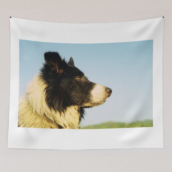 Item preview, A King among Dogs. designed and sold by Michael Haslam.