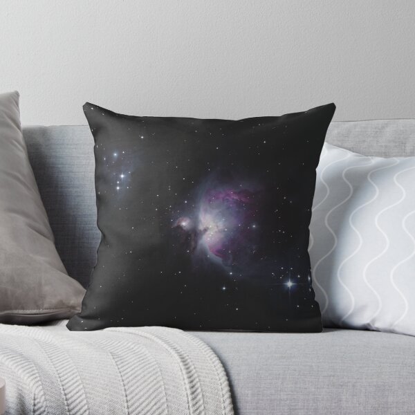 Throw Pillow