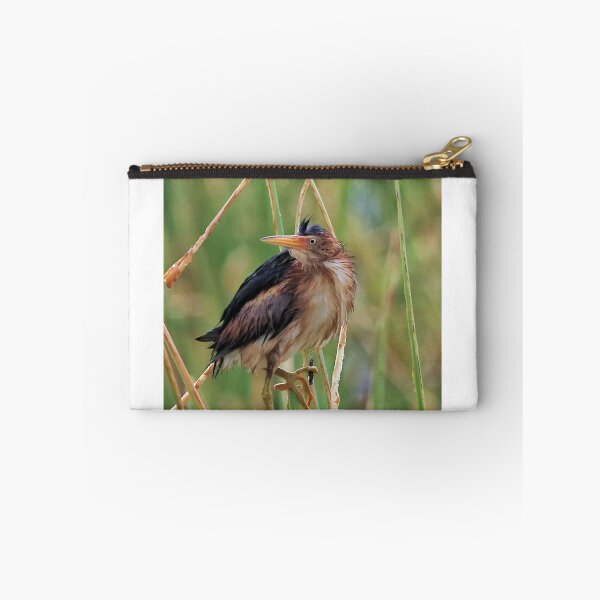 Item preview, Green Heron designed and sold by SuddenJim.