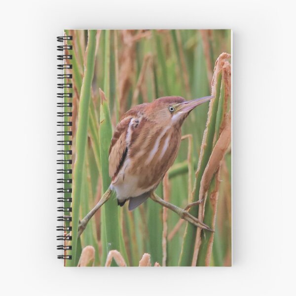 Item preview, Least Bittern designed and sold by SuddenJim.