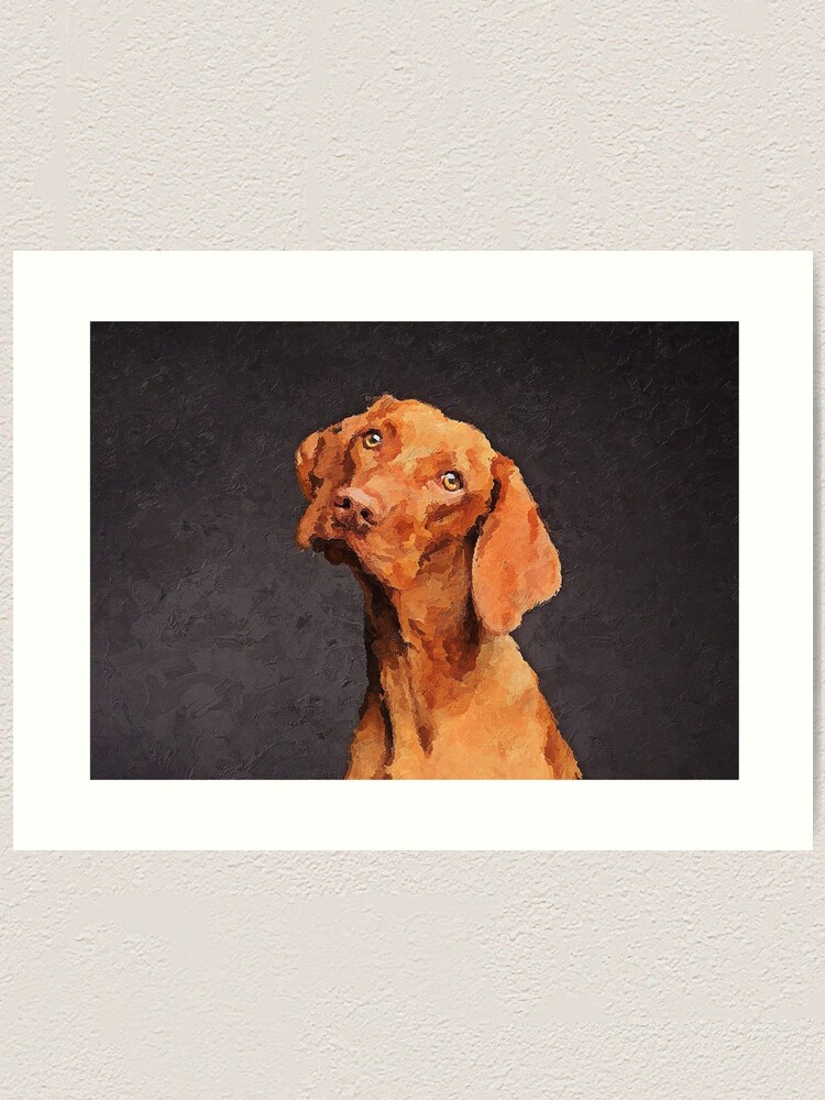 vizsla artwork