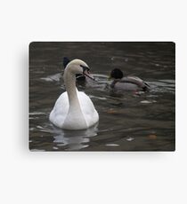 Mute Canvas Print