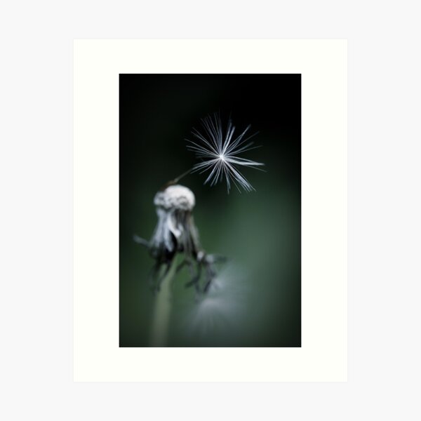 One Wish Left Art Print