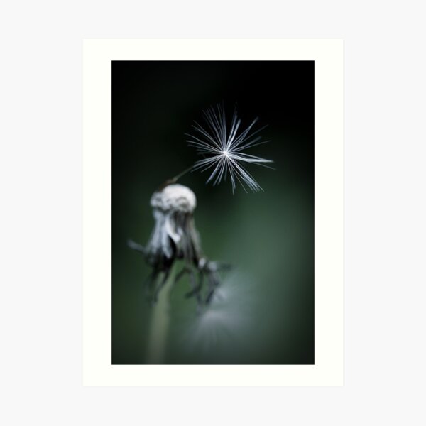 One Wish Left Art Print