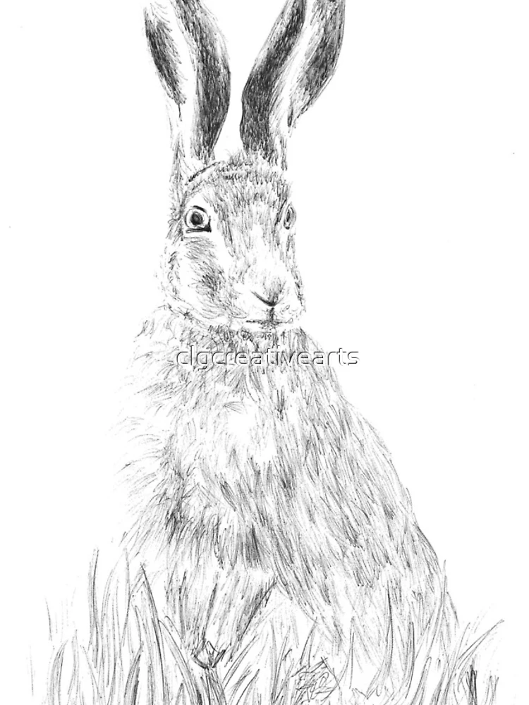 Thumbnail 4 of 4, iPhone Case, Hare designed and sold by clgcreativearts.