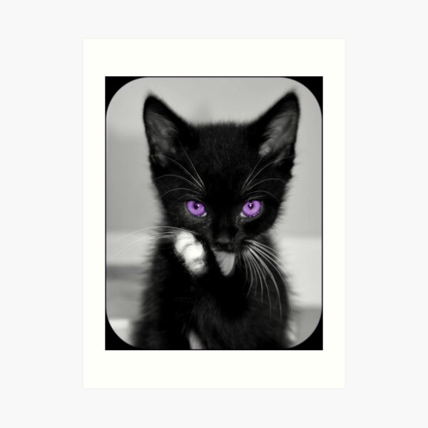 Purple Eyed Kitten Art Print By Mishmashmuddle Redbubble