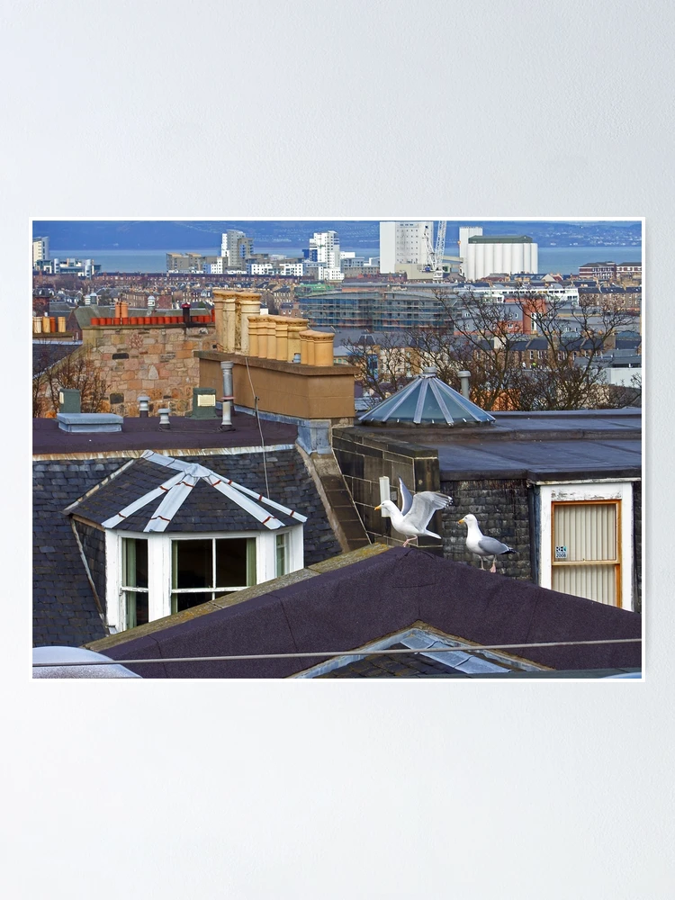 Thumbnail 1 of 3, Poster, Edinburgh Rooftops designed and sold by tomg.
