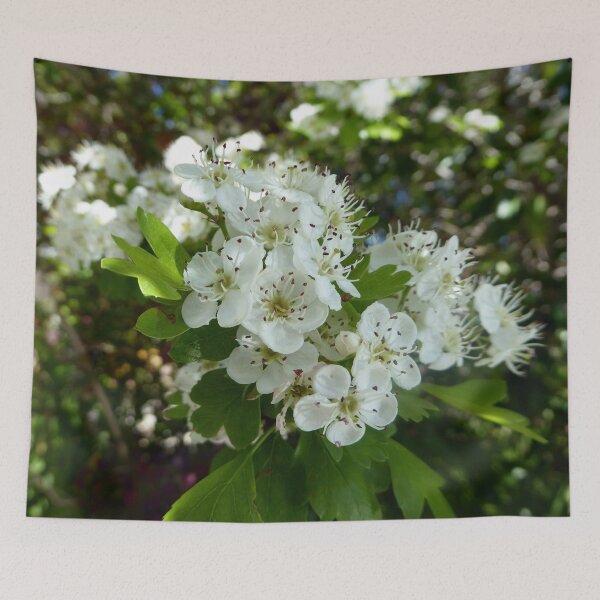 Item preview, Hawthorn blossoms designed and sold by Todays a Good Day.