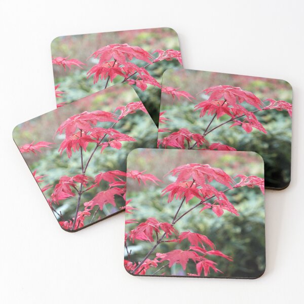 Item preview, Red Japanese Maple Leaves designed and sold by pinkal.