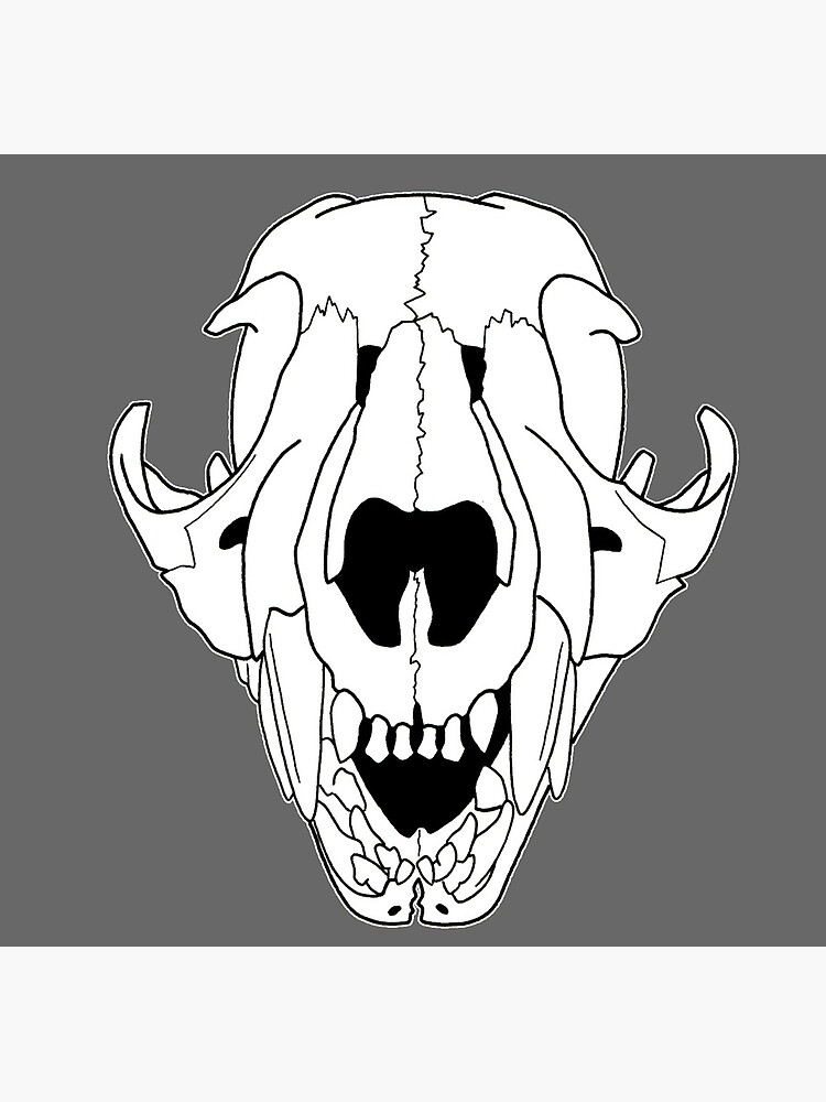 Baby Cougar Mountain Lion Skull Greeting Card By Rootinspiration Redbubble